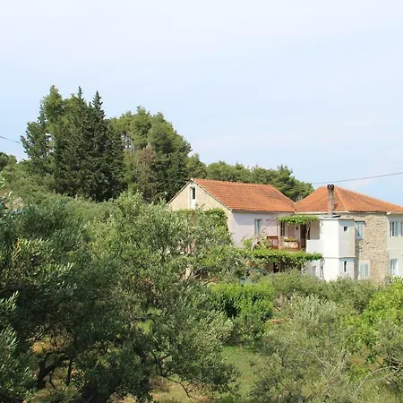 Ivankovic Daire *