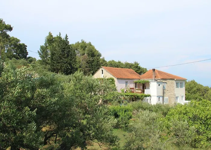 Ivankovic Daire *