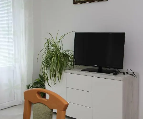 Ivankovic Daire *